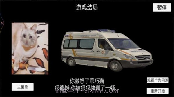 猫猫惊魂夜截图3