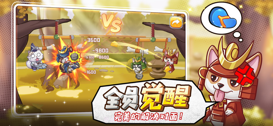 猫宅97截图2 猫宅97截图2