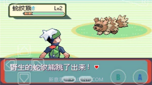 口袋妖怪绿宝石截图2