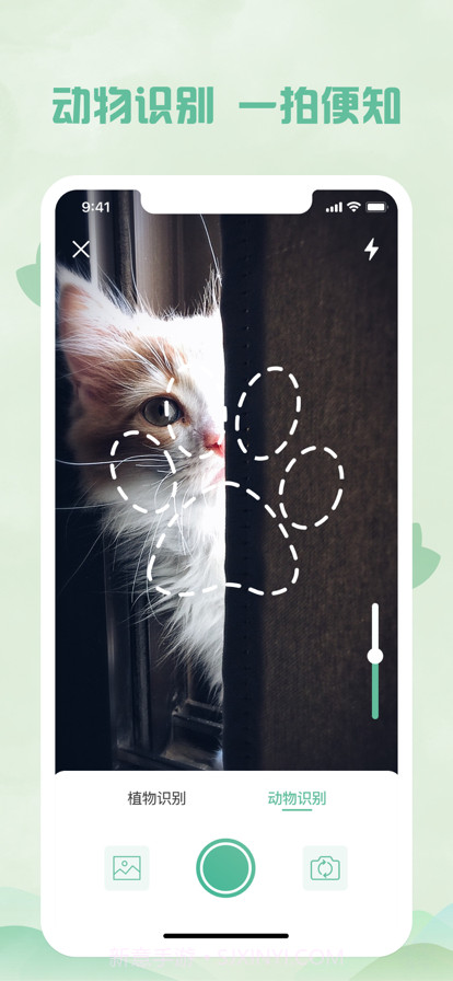 拍照识物:植物识别&拍照识花截图2 拍照识物:植物识别&拍照识花截图2