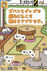 收集猫猫截图4 收集猫猫截图4