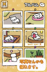 收集猫猫截图2 收集猫猫截图2