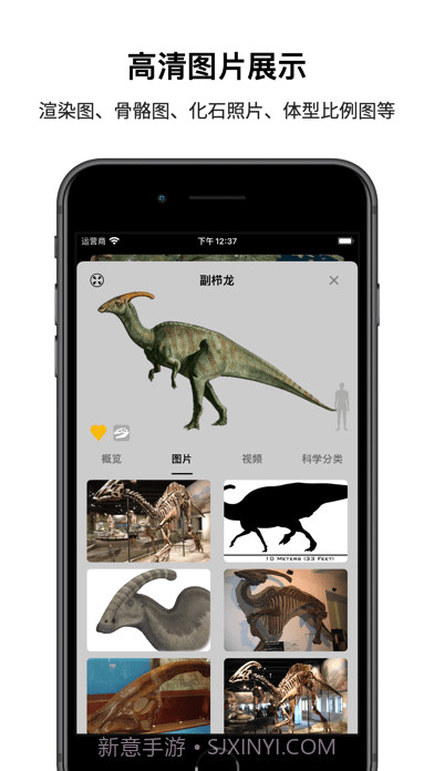 恐龙星球截图4 恐龙星球截图4
