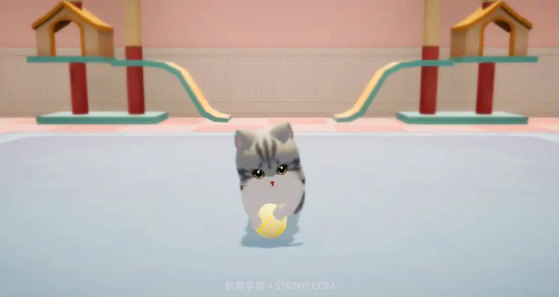 养了个猫免广告截图1 养了个猫免广告截图1