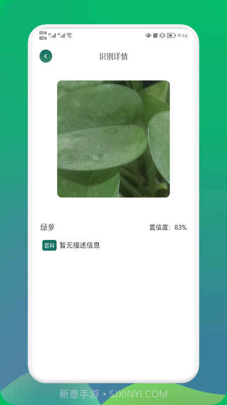 小园丁截图3 小园丁截图3