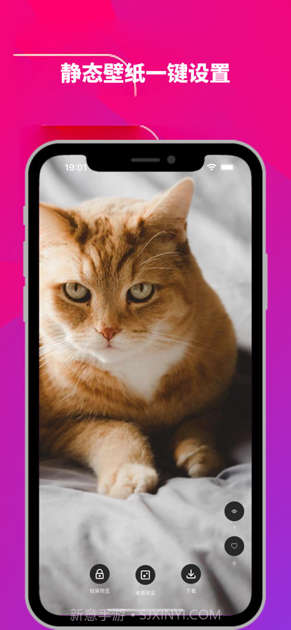 光子铃声壁纸截图4