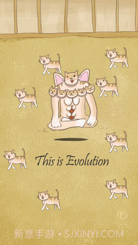 小猫进化截图3