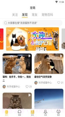 宠萌截图1 宠萌截图1