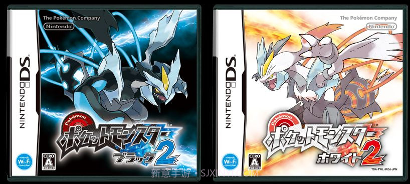 口袋妖怪黑2 中文版截图1