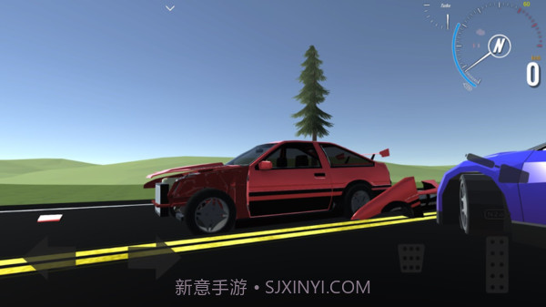 真实驾驶5截图1