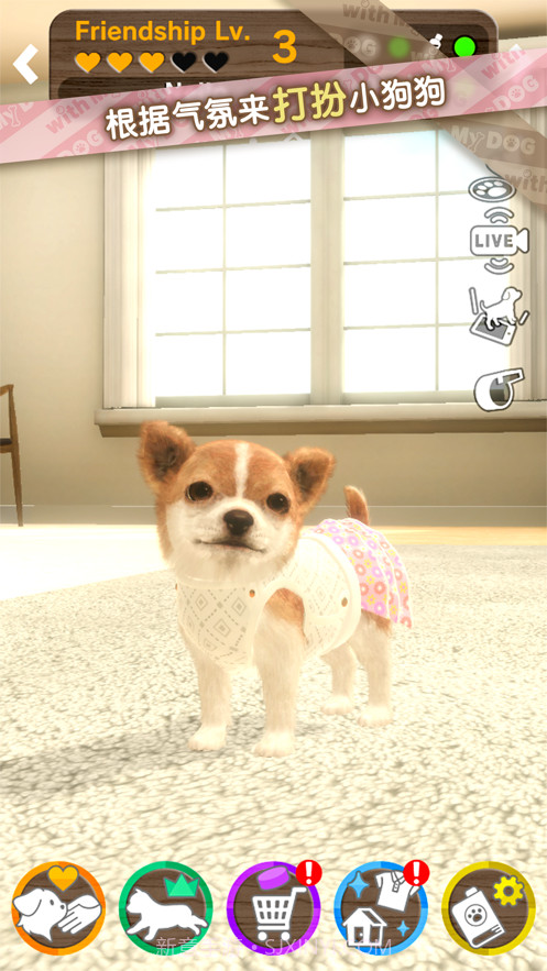 我的梦中情狗截图5