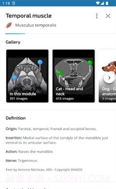 vet Anatomyv3.1.0截图1 vet Anatomyv3.1.0截图1