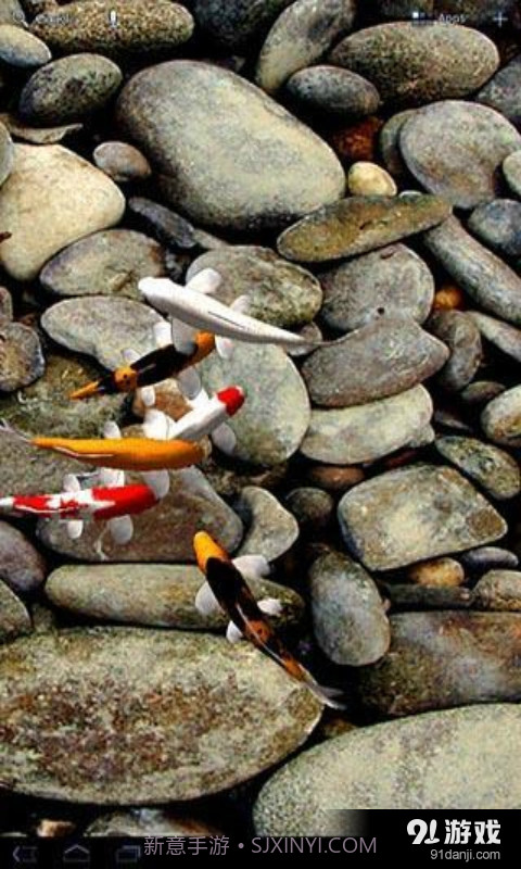 锦鲤3D动态壁纸截图4 锦鲤3D动态壁纸截图4