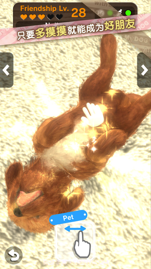 我的梦中情狗截图8