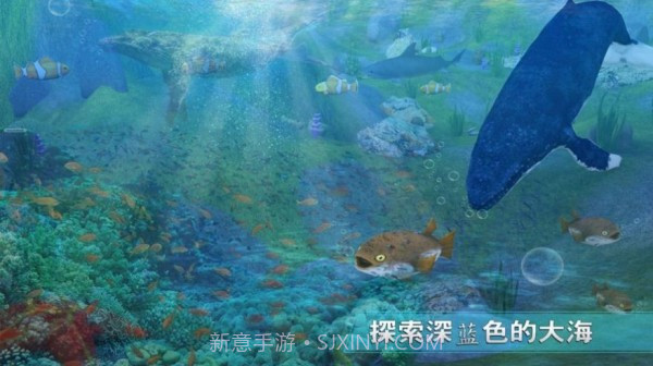 全民养鲨鱼截图1 全民养鲨鱼截图1