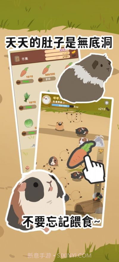 天竺鼠农场截图1 天竺鼠农场截图1