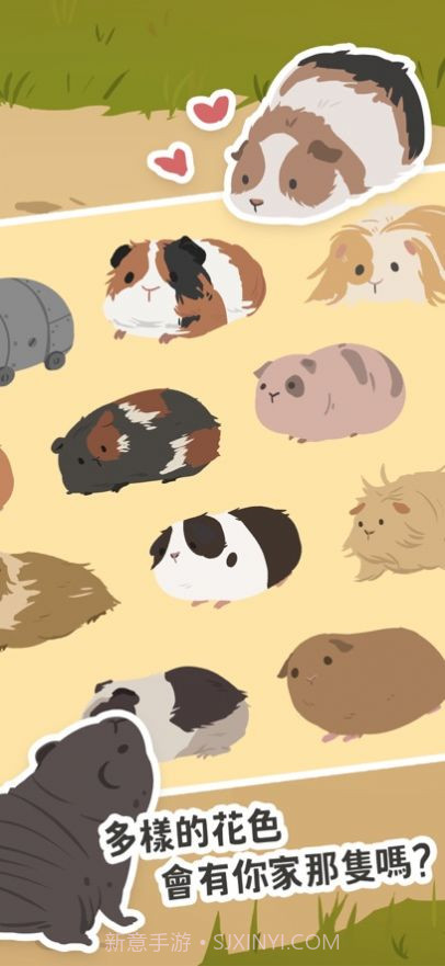 天竺鼠农场截图3 天竺鼠农场截图3