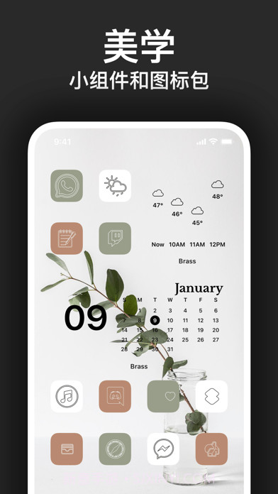 Bras截图6 Bras截图6