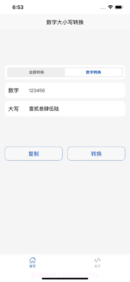 金额大小写截图2