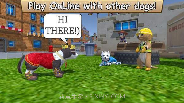 美国ZOOMDOG截图3 美国ZOOMDOG截图3