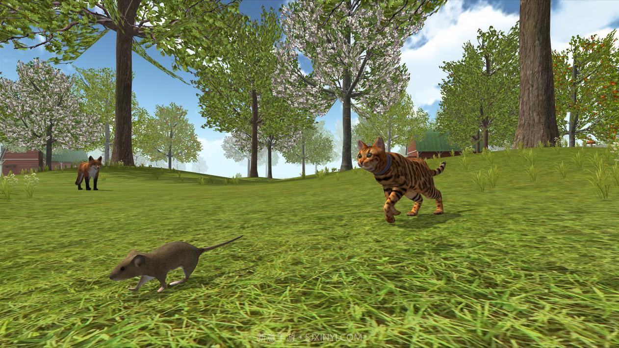 猫模拟器2020截图4 猫模拟器2020截图4