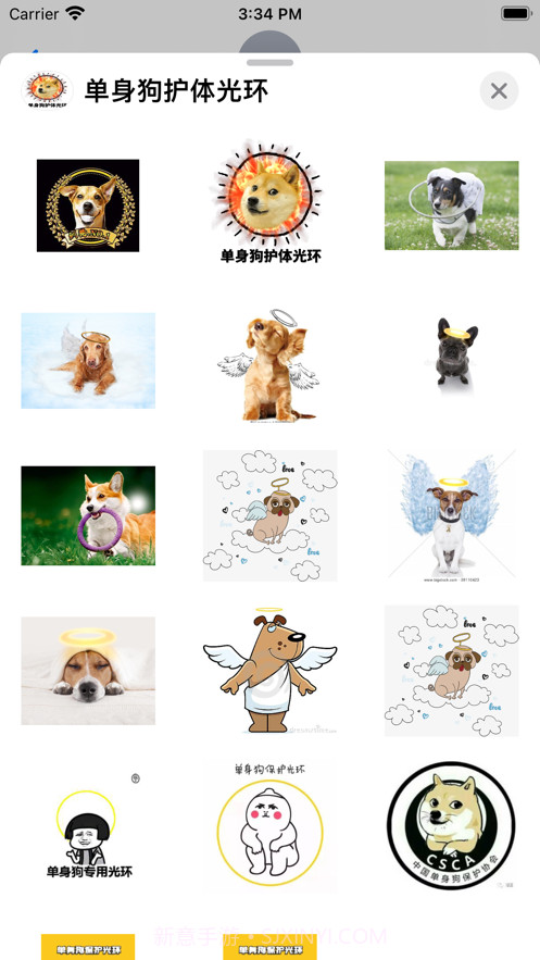 单身狗护体光环截图3 单身狗护体光环截图3