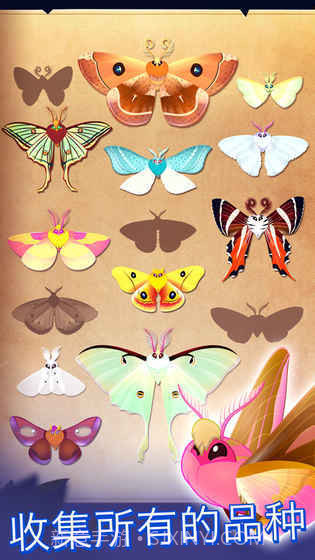 彩翼之星夜starlight截图1