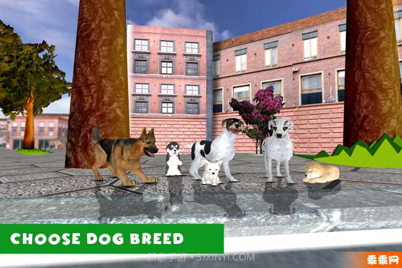 3D流浪狗模拟器截图1 3D流浪狗模拟器截图1