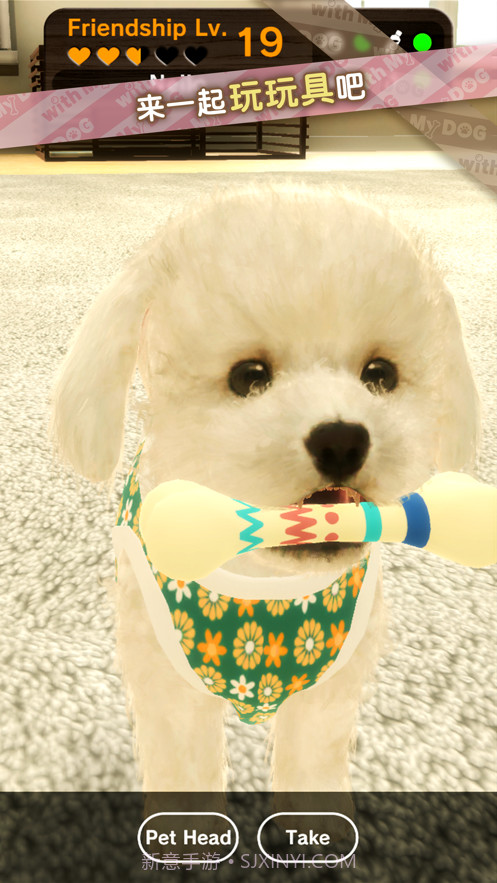 我的梦中情狗截图6