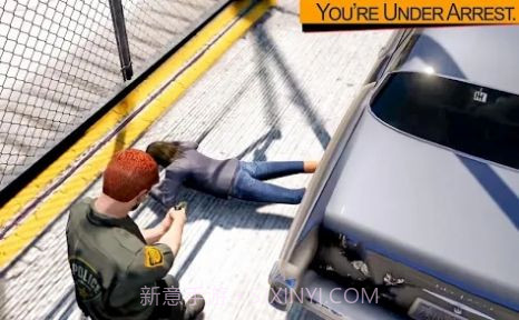 边防警察西姆截图1 边防警察西姆截图1