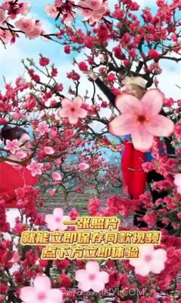 魔力音乐相册截图2 魔力音乐相册截图2