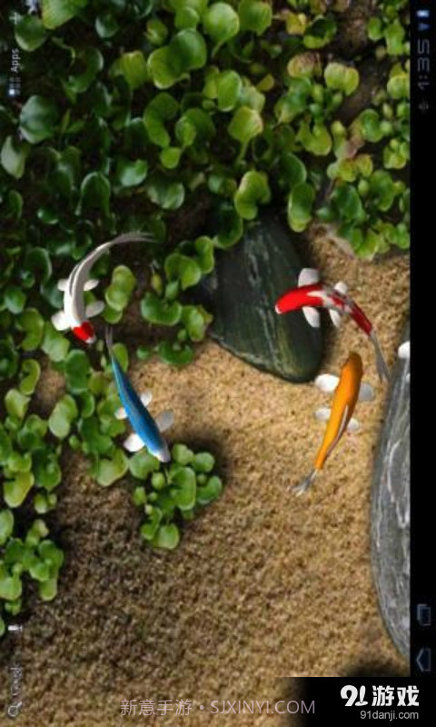 锦鲤3D动态壁纸截图2 锦鲤3D动态壁纸截图2