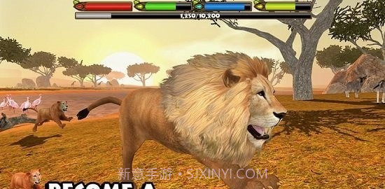 狮子模拟器2截图2