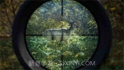 猎人:荒野的召唤正版截图2 猎人:荒野的召唤正版截图2