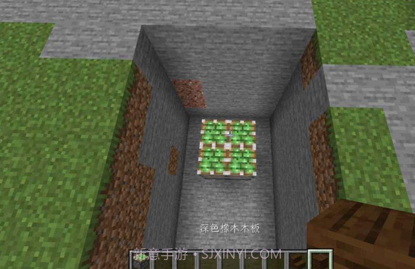 我的世界基岩XBOX版截图2 我的世界基岩XBOX版截图2