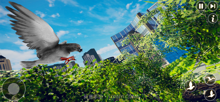 鸽子鸟飞行模拟器截图5 鸽子鸟飞行模拟器截图5