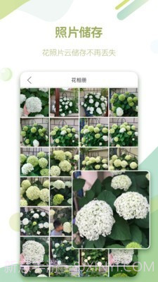 绿手指截图1 绿手指截图1