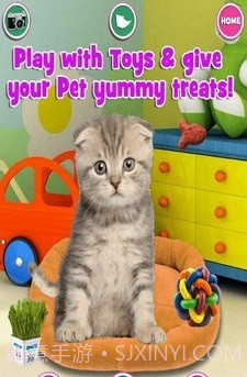 新生宠物兽医截图3 新生宠物兽医截图3