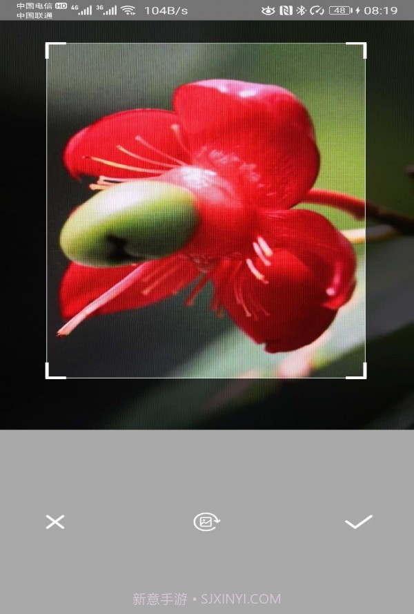 万能拍照识别截图3 万能拍照识别截图3