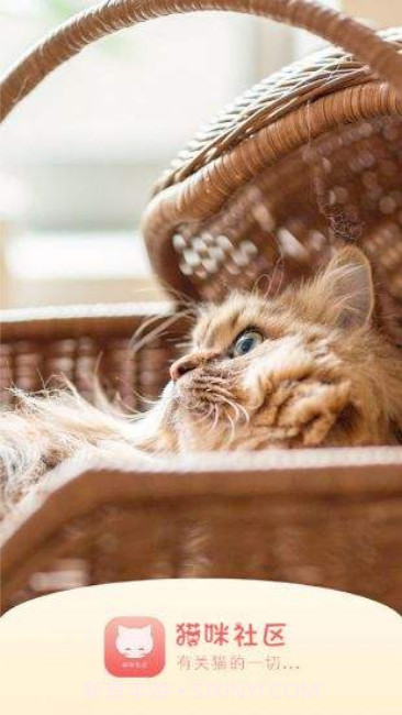 猫咪社区app旧版截图2 猫咪社区app旧版截图2