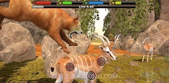 狮子模拟器2截图1