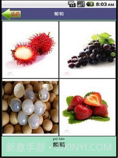 看图识字水果篇截图5 看图识字水果篇截图5