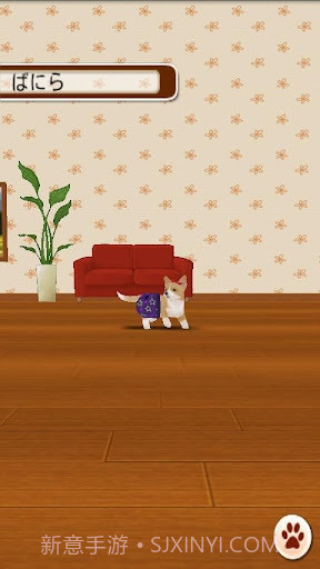 家有小狗截图3 家有小狗截图3