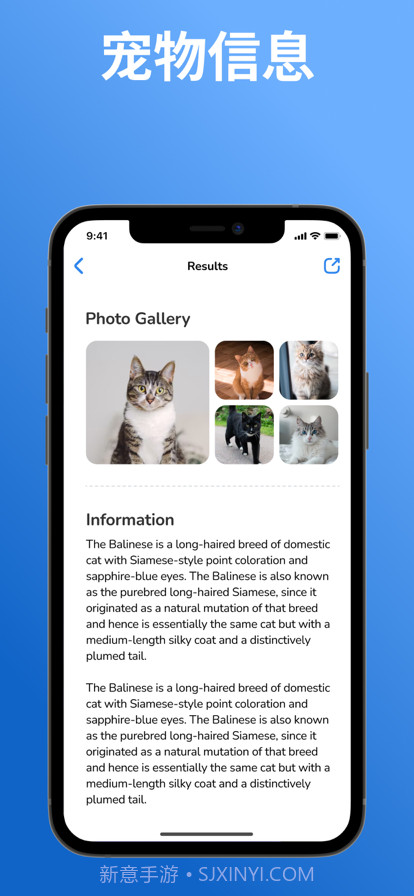 猫品种标识符:猫扫描仪截图3 猫品种标识符:猫扫描仪截图3