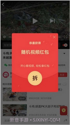 小黄蜂视频截图2