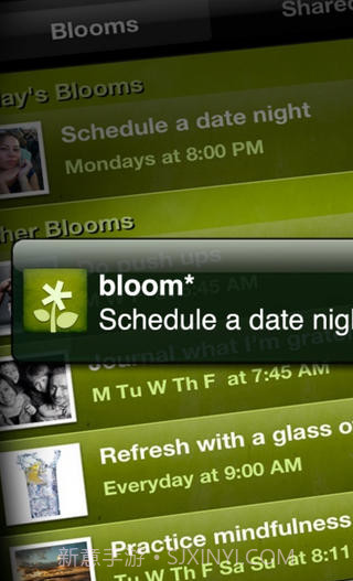 Bloom截图4 Bloom截图4