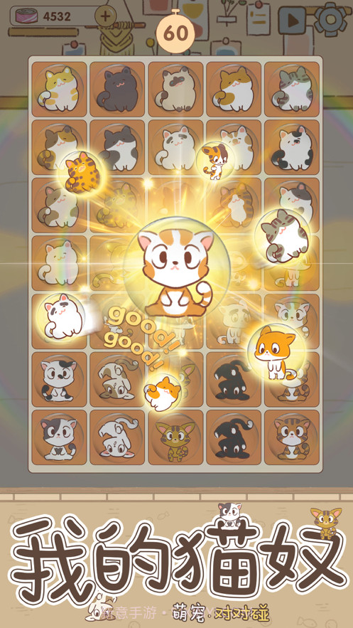 猫咪后院截图3 猫咪后院截图3