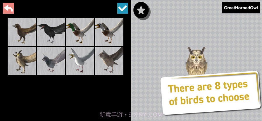 鸟类3D参考截图2 鸟类3D参考截图2