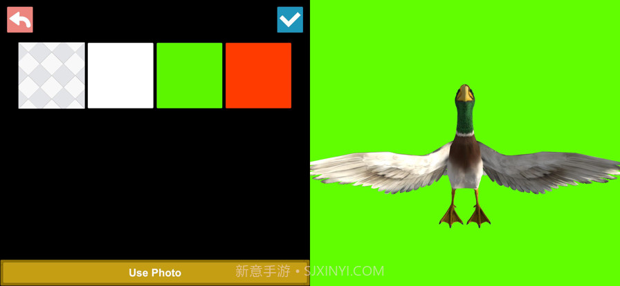 鸟类3D参考截图5 鸟类3D参考截图5