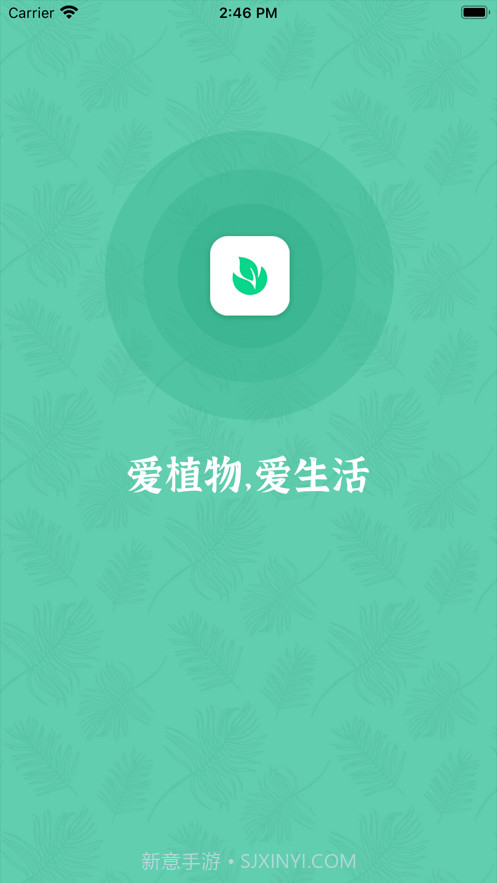 口袋绿植截图1